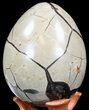 Septarian Dragon Egg Geode - Crystal Filled #40896-3